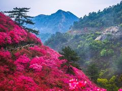 -木兰云雾山