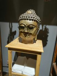 -木子·纹身店TATTOO穿孔·洗纹身