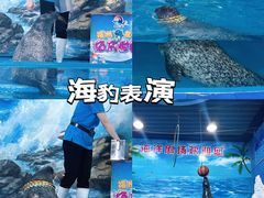 -左海海底世界