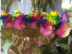 彩色玫瑰-ROSEONLY诺誓(国际广场购物中心店)