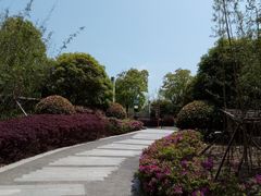 -上海崇明金茂凯悦酒店