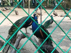 -苏州上方山国家森林公园