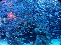 -成都浩海立方海洋公园