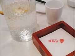 -大鸭梨烤鸭店(光彩店)