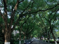 -浙江大学(玉泉校区)