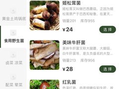 -菌极鲜野生菌火锅店(阳明祠店)