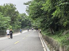 -南京市江宁方山