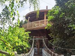 -新加坡飞禽公园