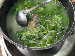 -石岐乳鸽村(南海第三分店)