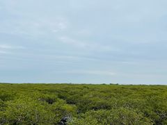 -北海金海湾红树林生态旅游区