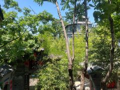 -老张烤羊(王哥庄店)