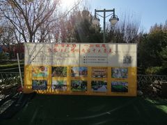 -南宫五洲植物乐园