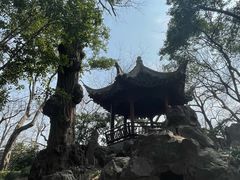-秋霞圃