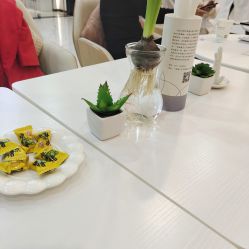 -广西颜白玉医疗美容门诊部
