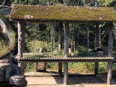 -碧峰峡风景区