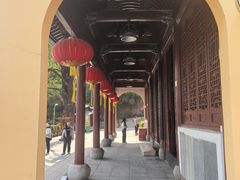 -赭山公园