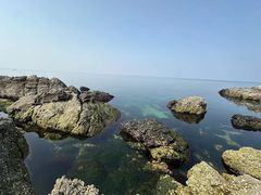 -养马岛旅游度假区
