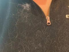 -藏猫猫咖啡主题馆(中央大道店)