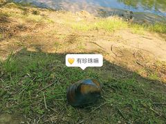 -蒲河岛湿地公园