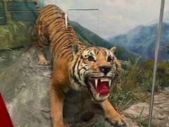 -国家自然博物馆