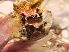 -杨氏青龙虾·羊蝎子(托乐嘉店)