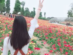 -秀丽东方