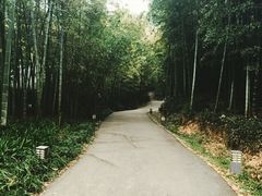 环秀晓筑养生度假村-苏州环秀晓筑养生度假村