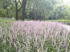 -上海市保健医疗中心