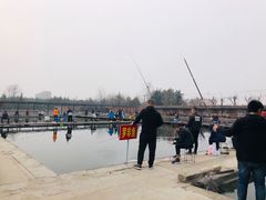 -特种渔场