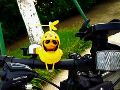 -九里河湿地公园