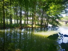 -梁鸿国家湿地公园