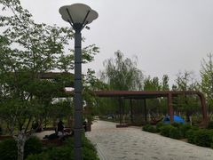 -东坝千亩湖公园