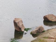 -美兰湖景区
