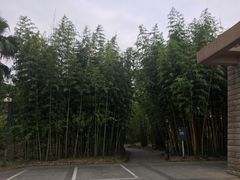 -福建鲤鱼洲酒店