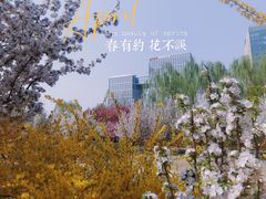 -海棠花溪(元大都城垣遗址公园)
