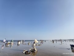 -日照海滨国家森林公园