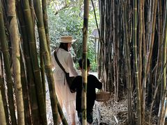 -大象粑粑造纸公园