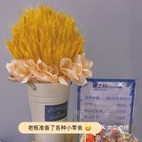 虎门探店📍｜一家绝美日系风📷美睫美甲店💅