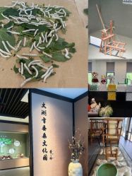 点击看大图 -太湖雪蚕桑文化园