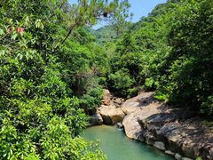 -广州白江湖森林公园