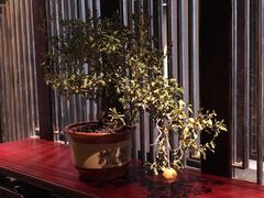 -古北水镇乌镇会精品酒店