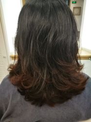 -THE LOG SALON 记录