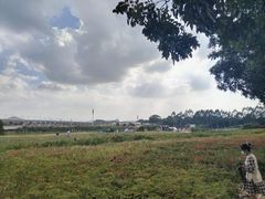 -光明刘冰乳鸽店(光明法政北路店)