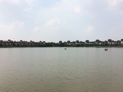 -美的鹭湖森林度假区