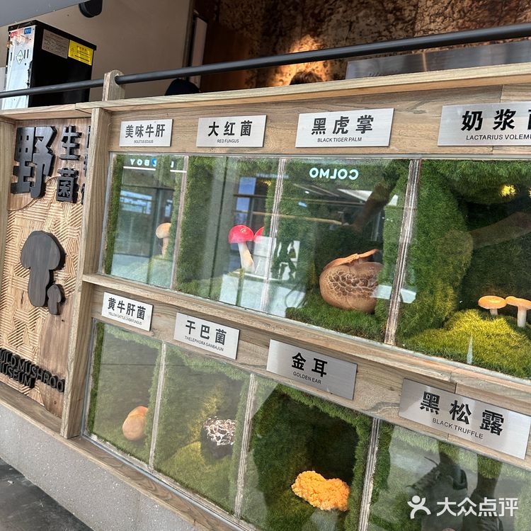 又一家可打卡的餐厅