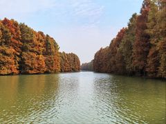 -上海海湾国家森林公园