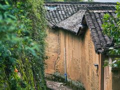 -杨家堂村