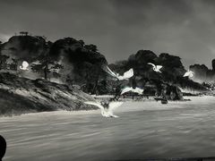 -宁波美术馆