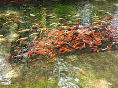-水磨沟公园