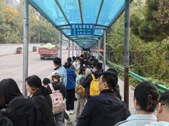 -少华山国家森林公园